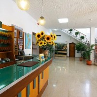 Hotel La Pineta dettagli hall