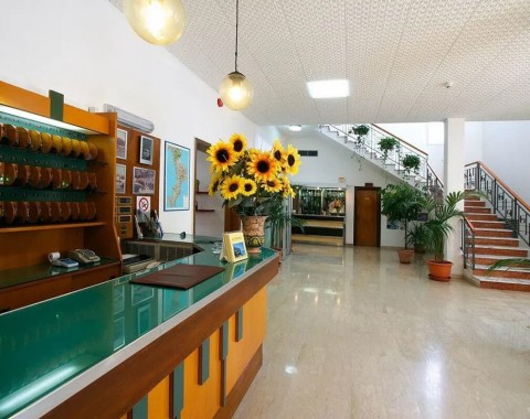 Hotel La Pineta - Foto 7