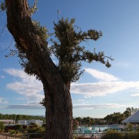 Club Esse Sunbeach dettaglio piscina cassiodoro