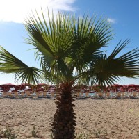 Club Esse Sunbeach spiaggia in concessione 4