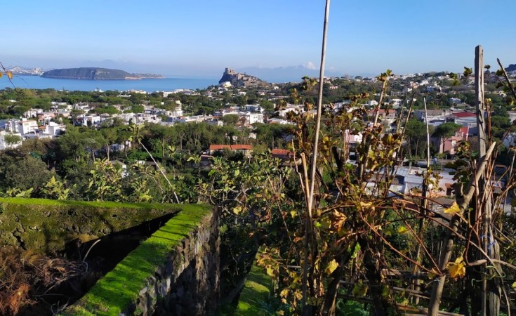Cosa fare a gennaio a Ischia