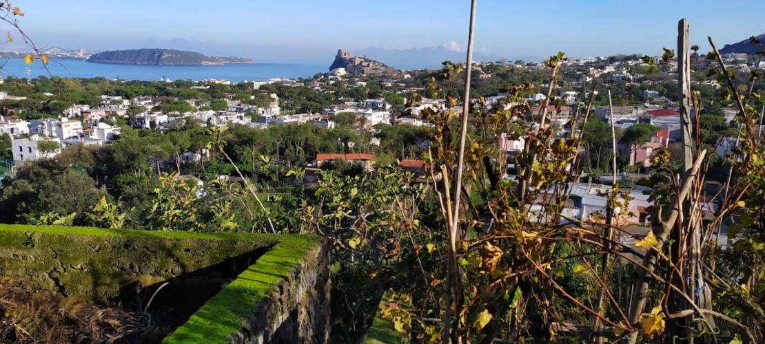 Cosa fare a gennaio a Ischia