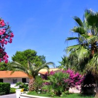 Green Park Village