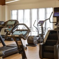 palestra