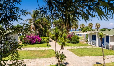 Fruit Village Le Dune Beach Resort Fruit Village Le Dune Beach Resort