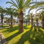 TH Ostuni