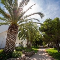 TH Ostuni