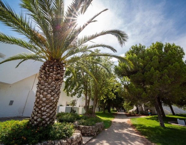 TH Ostuni