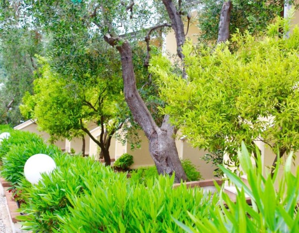 Villaggio Turistico Defensola