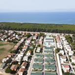 Fruit Village Coral Beach