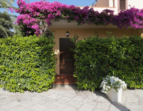 Vascellero Club Resort