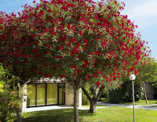 Magna Grecia Hotel Village