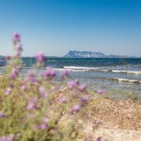 TH Liscia Eldi Resort