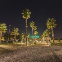 Barone di Mare notturno