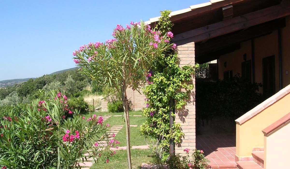 Residence La Pieve di Pomaia - Immagine 7