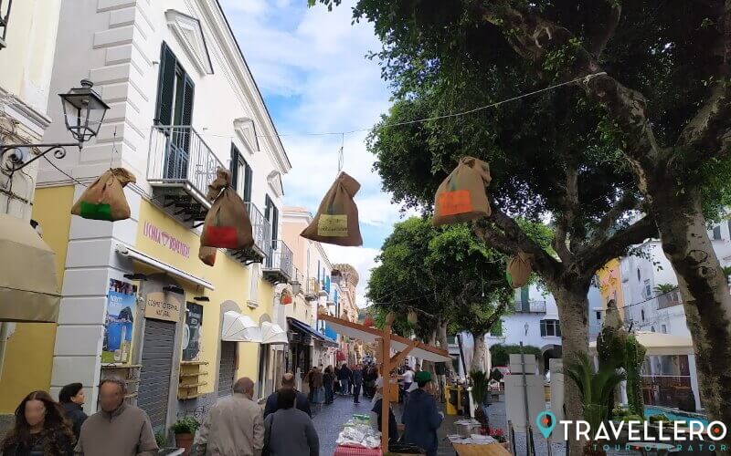 Festa di San Martino a Forio