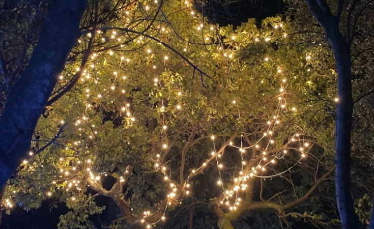 Luci natalizie ad Ischia