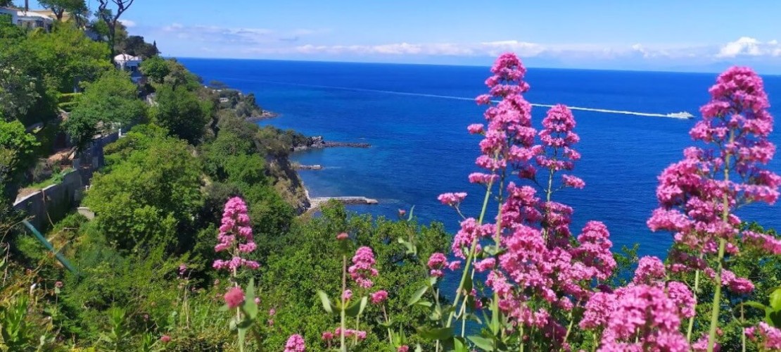 Cosa fare a Giugno a Ischia