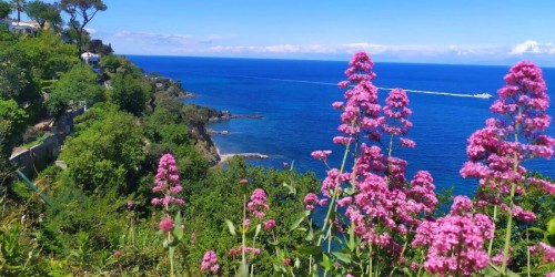 Cosa fare a Giugno a Ischia