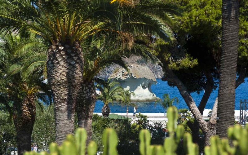 Mushroom of Lacco Ameno in Ischia