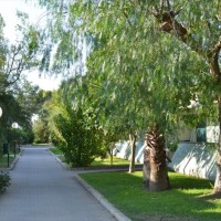 Appartamenti, aree esterne con patio dedicato