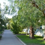 Residence Alessidamo Club