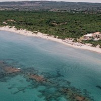 MClub del Golfo