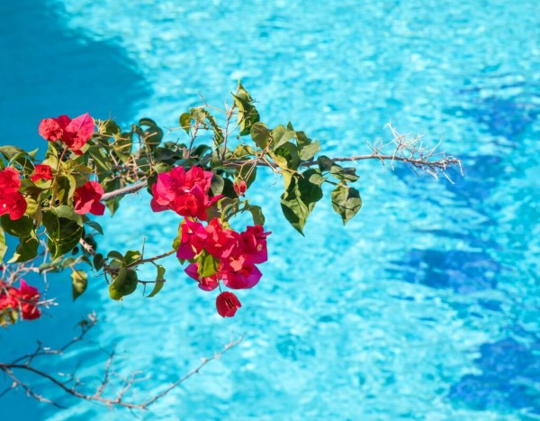 Hotel Maria Rosaria