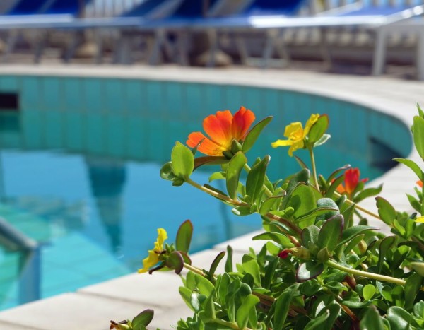 Hotel La Ginestra