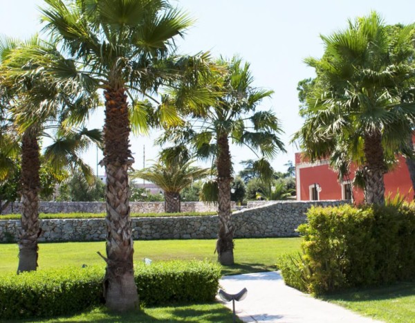 Fruit Village Torcito Resort Sport Village