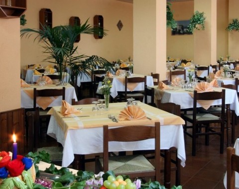 Hotel La Pineta - Foto 12