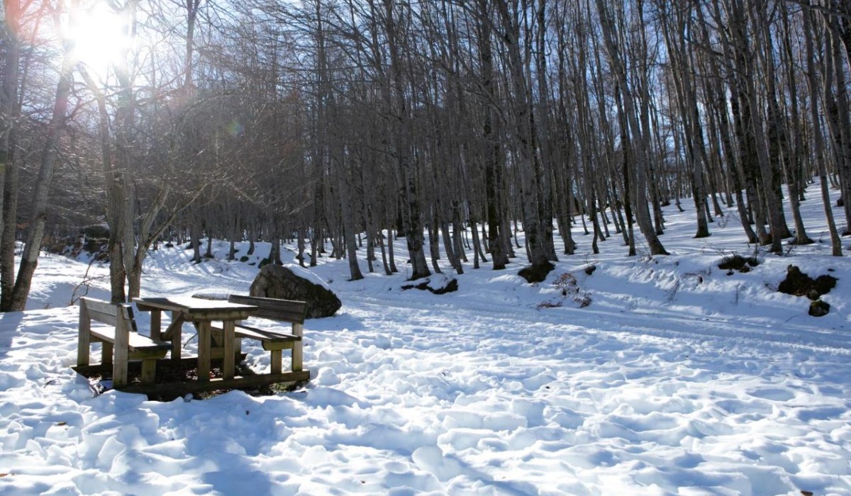 Apulia Hotel Europa Gran Sasso - I boschi ed i sentieri d'inverno