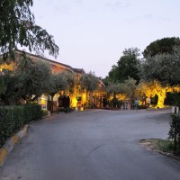 Viale d'accesso struttura principale e reception