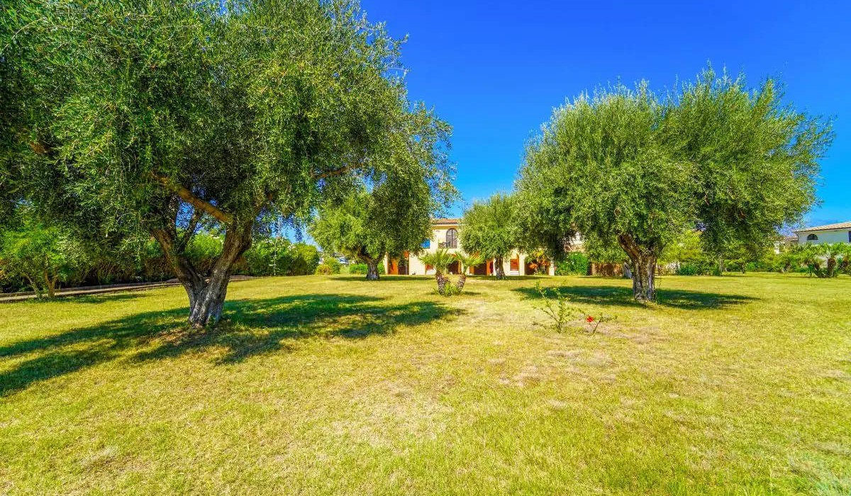 Villaggio Baia della Rocchetta - Giardino