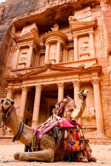 Spettacolare vista di due bellissimi cammelli di fronte ad Al Khazneh (Il Tesoro) a Petra