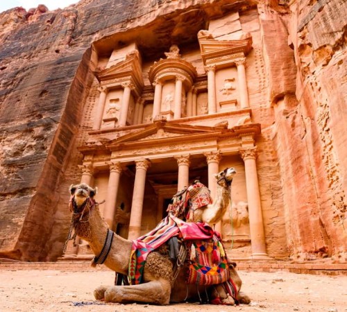 Spettacolare vista di due bellissimi cammelli di fronte ad Al Khazneh (Il Tesoro) a Petra