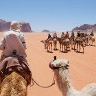 Viaggio sui cammelli nel deserto di wadi Rum in Giordania