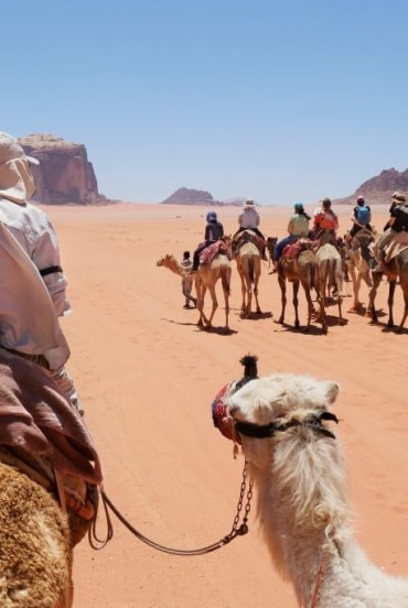 Viaggio sui cammelli nel deserto di wadi Rum in Giordania
