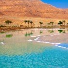 Veduta del Mar Morto con palme e montagne sullo sfondo in Giordania