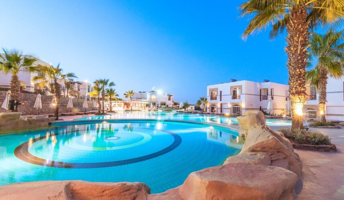 Amphoras Blu - Immagine 2 Amphoras Blu - Immagine 2