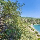 La Baia di Ilgin in Turchia è circondata da una vegetazione rigogliosa, con pini, ulivi e macchia mediterranea che creano un paesaggio verde e lussureggiante