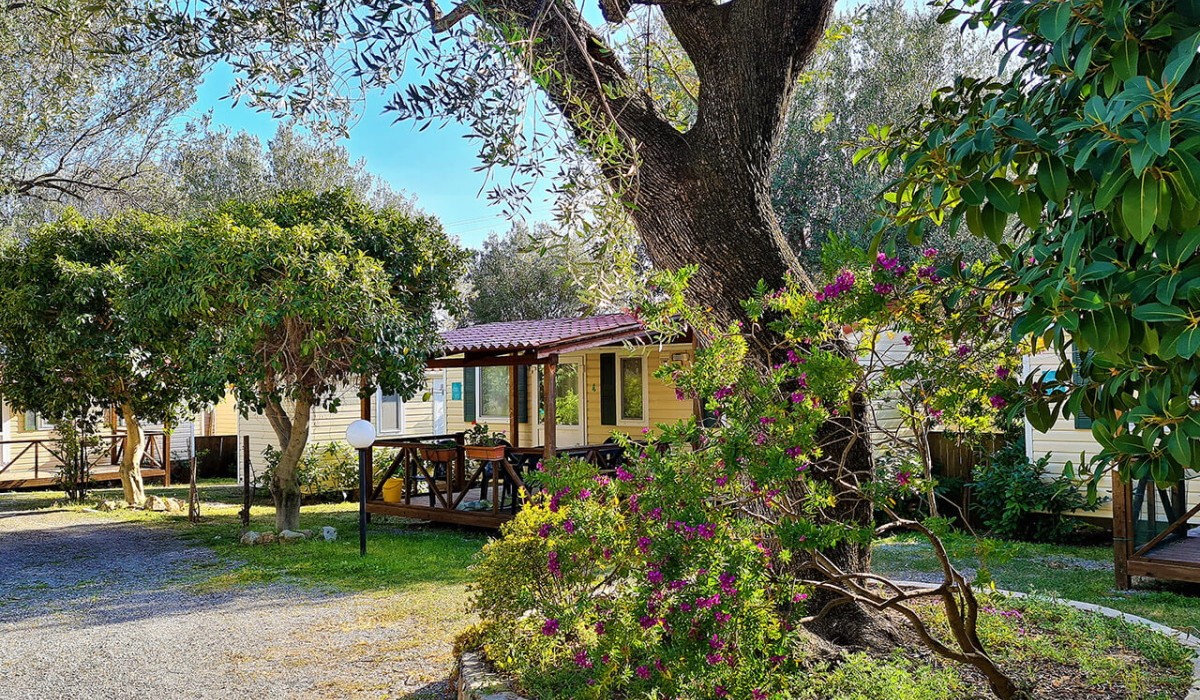 Batuca Village - giardino