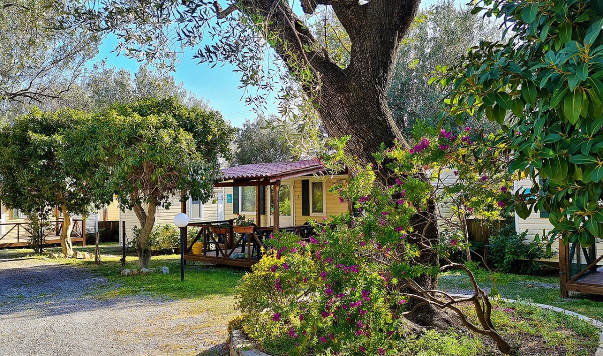Batuca Village - giardino