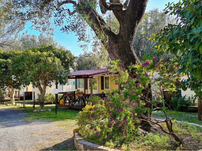 Batuca Village - giardino