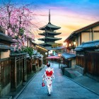 In primavera, il quartiere di Gion si trasforma con i fiori di ciliegio. Una geisha in kimono attraversa i vicoli storici, offrendo un'autentica esperienza della cultura tradizionale giapponese.