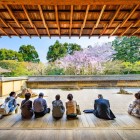 Il Tempio Ryoan-ji, celebre per il suo giardino zen, ospita una splendida vista dei ciliegi in fiore. Il giardino, un capolavoro di paesaggistica zen, rappresenta l’essenza del minimalismo giapponese.