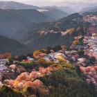 Vista dall'alto, Nara in primavera è un incanto: templi storici, il Parco di Nara e alberi di ciliegi in fiore, un paesaggio sereno che unisce natura e tradizione giapponese.