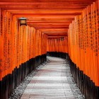 Le porte torii rosse del santuario Fushimi Inari a Kyoto segnano il confine tra il mondo profano e quello spirituale, creando un percorso sacro verso la cima del Monte Inari.