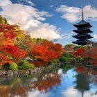 Nara, Giappone, la storica torre di legno del Tempio To-ji si riflette nel laghetto Sagiike. Un simbolo della cultura giapponese, testimone della tradizione e della spiritualità millenaria.