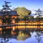 Il Todai-ji al crepuscolo offre uno spettacolo suggestivo: la luce dorata esalta la maestosità del tempio, creando un’atmosfera di pace e profonda spiritualità a Nara.